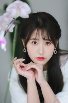 人形的家